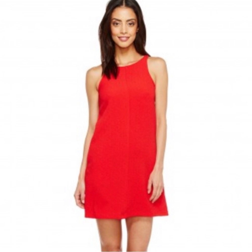 Brigitte Bailey short red dress. Gold zipper back